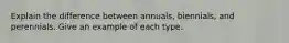 Explain the difference between annuals, biennials, and perennials. Give an example of each type.