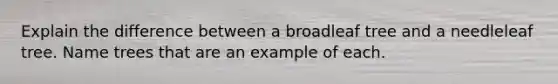 Explain the difference between a broadleaf tree and a needleleaf tree. Name trees that are an example of each.