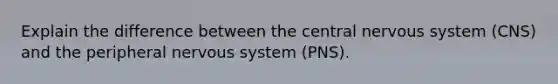 Explain the difference between the central nervous system (CNS) and the peripheral nervous system (PNS).