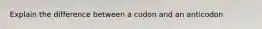 Explain the difference between a codon and an anticodon