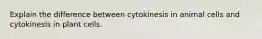 Explain the difference between cytokinesis in animal cells and cytokinesis in plant cells.