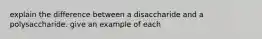 explain the difference between a disaccharide and a polysaccharide. give an example of each