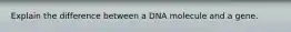 Explain the difference between a DNA molecule and a gene.