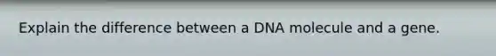 Explain the difference between a DNA molecule and a gene.