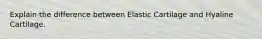 Explain the difference between Elastic Cartilage and Hyaline Cartilage.