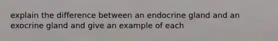 explain the difference between an endocrine gland and an exocrine gland and give an example of each