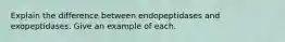 Explain the difference between endopeptidases and exopeptidases. Give an example of each.