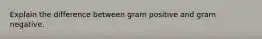 Explain the difference between gram positive and gram negative.