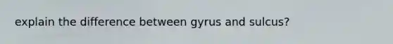 explain the difference between gyrus and sulcus?