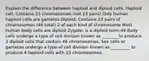 Explain the difference between haploid and diploid cells. Haploid cell: Contains 23 chromosomes (not 23 pairs) Only human haploid cells are gametes Diploid: Contains 23 pairs of chromosomes (46 total) 2 of each kind of chromosome Most human body cells are diploid Zygote: is a diploid term-49 Body cells undergo a type of cell division known as ________to produce 2 diploid cells that contain 46 chromosomes. Sex cells or gametes undergo a type of cell division known as _________ to produce 4 haploid cells with 23 chromosomes.