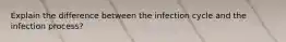 Explain the difference between the infection cycle and the infection process?