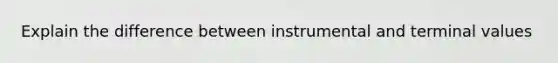 Explain the difference between instrumental and terminal values