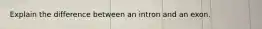 Explain the difference between an intron and an exon.