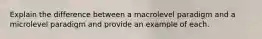 Explain the difference between a macrolevel paradigm and a microlevel paradigm and provide an example of each.