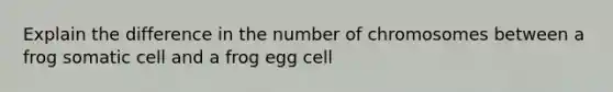 Explain the difference in the number of chromosomes between a frog somatic cell and a frog egg cell