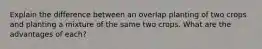 Explain the difference between an overlap planting of two crops and planting a mixture of the same two crops. What are the advantages of each?