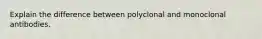 Explain the difference between polyclonal and monoclonal antibodies.