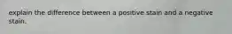 explain the difference between a positive stain and a negative stain.