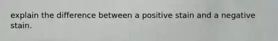 explain the difference between a positive stain and a negative stain.