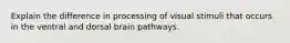 Explain the difference in processing of visual stimuli that occurs in the ventral and dorsal brain pathways.