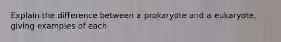 Explain the difference between a prokaryote and a eukaryote, giving examples of each