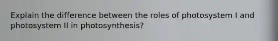 Explain the difference between the roles of photosystem I and photosystem II in photosynthesis?