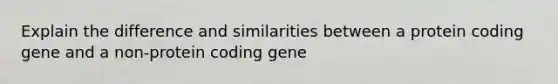 Explain the difference and similarities between a protein coding gene and a non-protein coding gene