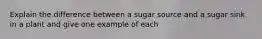 Explain the difference between a sugar source and a sugar sink in a plant and give one example of each