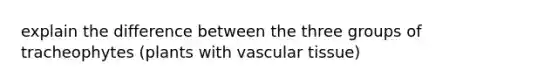 explain the difference between the three groups of tracheophytes (plants with vascular tissue)