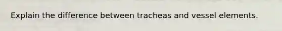 Explain the difference between tracheas and vessel elements.