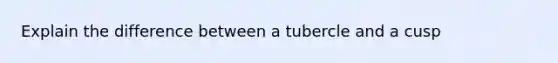 Explain the difference between a tubercle and a cusp