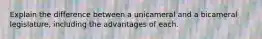 Explain the difference between a unicameral and a bicameral legislature, including the advantages of each.