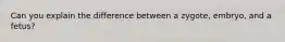 Can you explain the difference between a zygote, embryo, and a fetus?