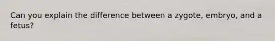 Can you explain the difference between a zygote, embryo, and a fetus?