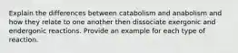 Explain the differences between catabolism and anabolism and how they relate to one another then dissociate exergonic and endergonic reactions. Provide an example for each type of reaction.