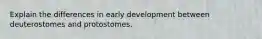 Explain the differences in early development between deuterostomes and protostomes.