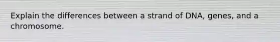 Explain the differences between a strand of DNA, genes, and a chromosome.