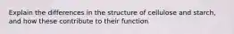 Explain the differences in the structure of cellulose and starch, and how these contribute to their function