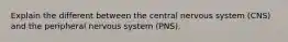 Explain the different between the central nervous system (CNS) and the peripheral nervous system (PNS).