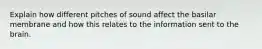 Explain how different pitches of sound affect the basilar membrane and how this relates to the information sent to the brain.