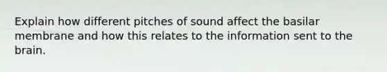 Explain how different pitches of sound affect the basilar membrane and how this relates to the information sent to the brain.