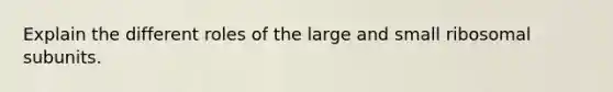 Explain the different roles of the large and small ribosomal subunits.