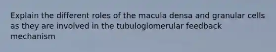 Explain the different roles of the macula densa and granular cells as they are involved in the tubuloglomerular feedback mechanism