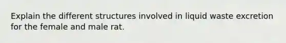 Explain the different structures involved in liquid waste excretion for the female and male rat.