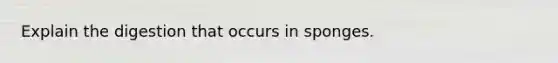 Explain the digestion that occurs in sponges.