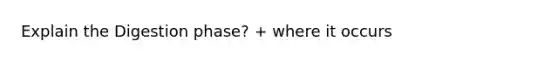 Explain the Digestion phase? + where it occurs