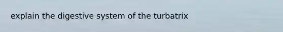 explain the digestive system of the turbatrix