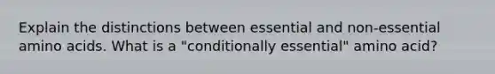 Explain the distinctions between essential and non-essential <a href='https://www.questionai.com/knowledge/k9gb720LCl-amino-acids' class='anchor-knowledge'>amino acids</a>. What is a "conditionally essential" amino acid?