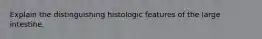 Explain the distinguishing histologic features of the large intestine.