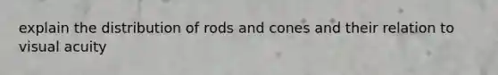 explain the distribution of rods and cones and their relation to visual acuity